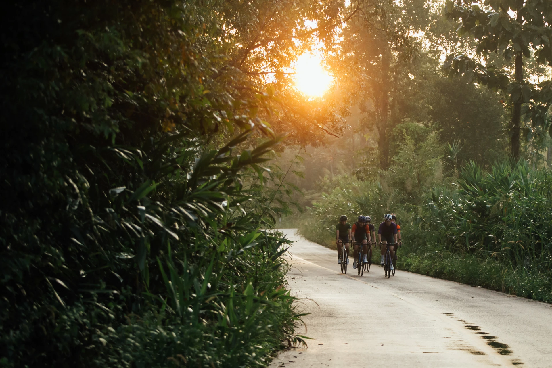 US Bikes & Cycling Sales 2023 -US Bikes & Cycling Sales 2023 ad74a5132335289.61a70b8bd2437