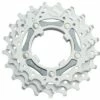 Campagnolo 11 speed cog - Tooth Count: 17 2 Campagnolo 11 speed cog - Tooth Count: 17 -US Bikes & Cycling Sales 2023 unnamed file 1475