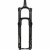 RockShox Lyrik Ultimate Charger 2.1 RC2 Suspension Fork - 29", 160 mm, 15 x 110 mm, 51 mm Offset, Black, C3