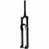 Cane Creek Helm MKII Coil 29 Suspension Fork - 29", 160 mm, 15 x 110 mm, 44 mm Offset, Gloss Black