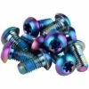 SRAM Titanium T25 Rotor Bolt Kit - Rainbow, Set of 12 -US Bikes & Cycling Sales 2023 unnamed file 728