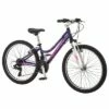 Schwinn Ranger 24" Kids' Mountain Bike - Purple